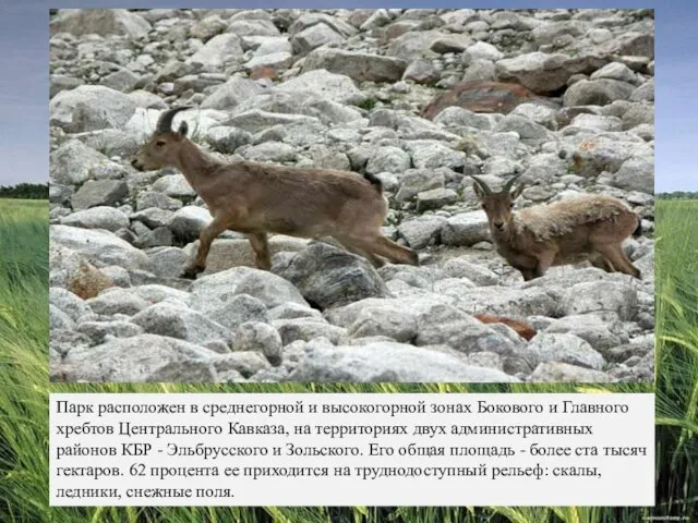 Парк расположен в среднегорной и высокогорной зонах Бокового и Главного хребтов