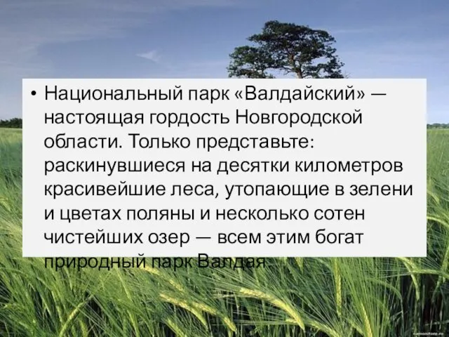 Национальный парк «Валдайский» — настоящая гордость Новгородской области. Только представьте: раскинувшиеся