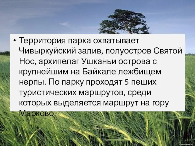 Территория парка охватывает Чивыркуйский залив, полуостров Святой Нос, архипелаг Ушканьи острова