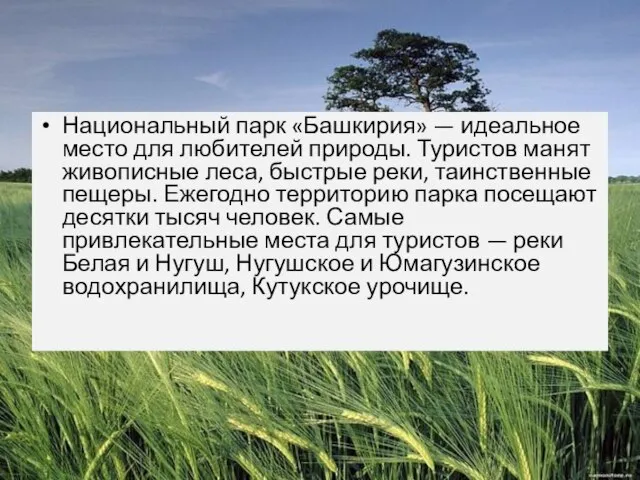 Национальный парк «Башкирия» — идеальное место для любителей природы. Туристов манят