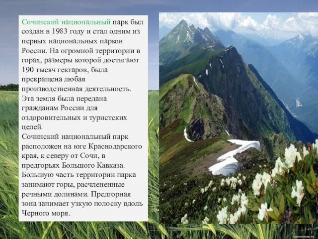 Сочинский национальный парк был создан в 1983 году и стал одним