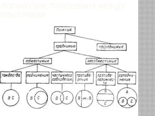 Логические отношения между понятиями