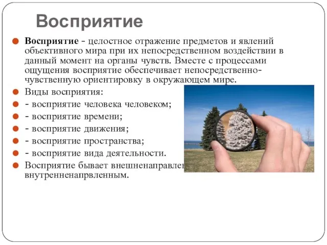 Восприятие Восприятие - целостное отражение предметов и явлений объективного мира при