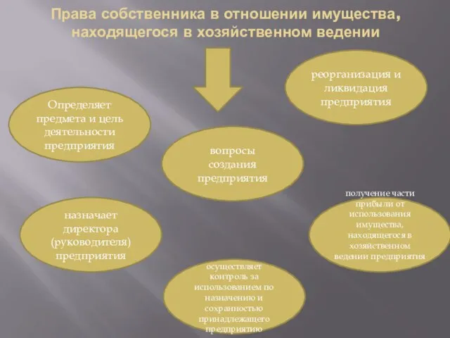 Права собственника в отношении имущества, находящегося в хозяйственном ведении Определяет предмета