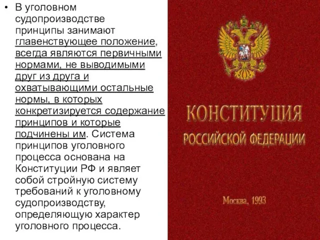 В уголовном судопроизводстве принципы занимают главенствующее положение, всегда являются первичными нормами,