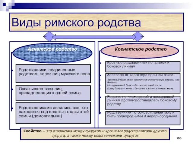 Виды римского родства Агнатское родство Родственники, соединенные родством, через лиц мужского