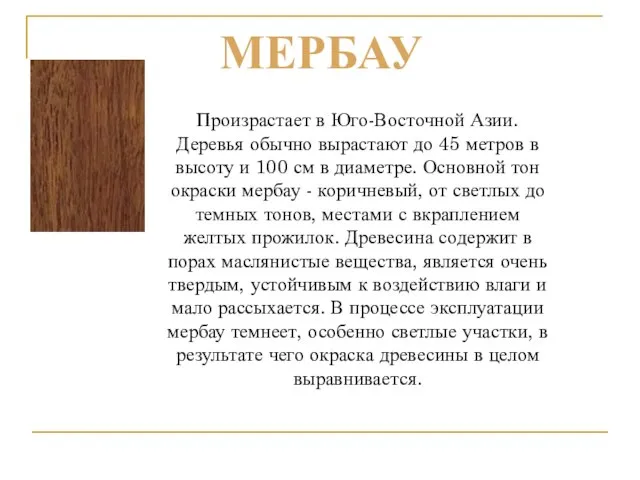 Произрастает в Юго-Восточной Азии. Деревья обычно вырастают до 45 метров в