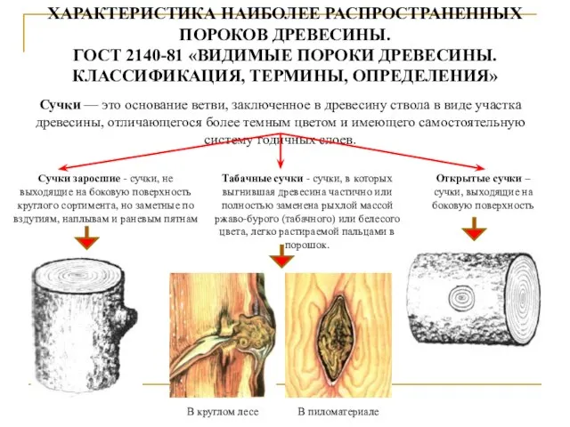 ХАРАКТЕРИСТИКА НАИБОЛЕЕ РАСПРОСТРАНЕННЫХ ПОРОКОВ ДРЕВЕСИНЫ. ГОСТ 2140-81 «ВИДИМЫЕ ПОРОКИ ДРЕВЕСИНЫ. КЛАССИФИКАЦИЯ,