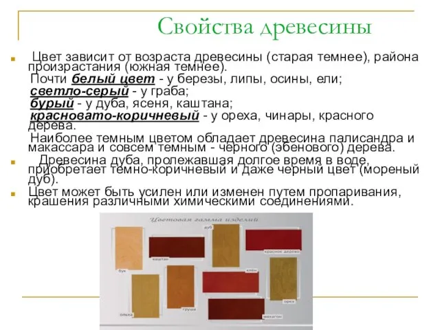 Свойства древесины Цвет зависит от возраста древесины (старая темнее), района произрастания