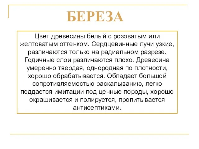 Цвет древесины белый с розоватым или желтоватым оттенком. Сердцевинные лучи узкие,