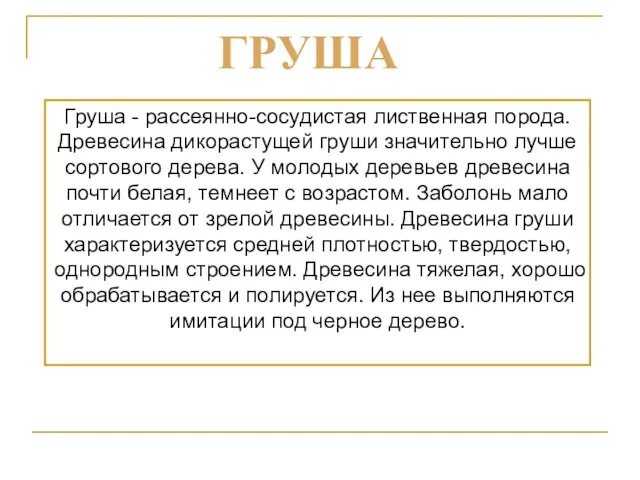 Груша - рассеянно-сосудистая лиственная порода. Древесина дикорастущей груши значительно лучше сортового