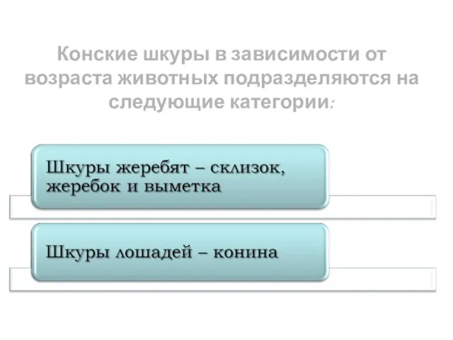 Конские шкуры в зависимости от возраста животных подразделяются на следующие категории: