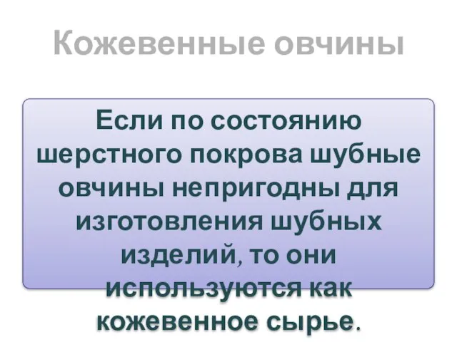 Кожевенные овчины Если по состоянию шерстного покрова шубные овчины непригодны для