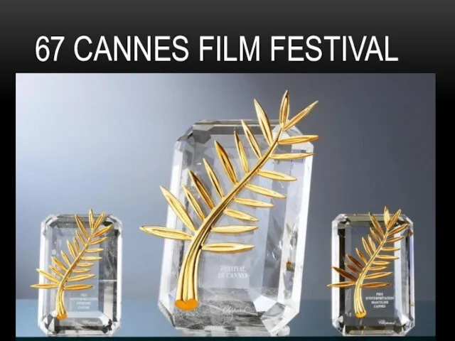 67 Cannes Film Festival