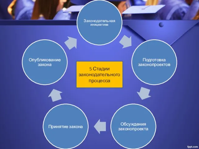 5 Стадии законодательного процесса
