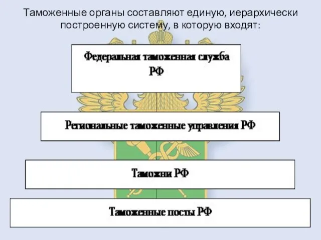 Таможенные органы составляют единую, иерархически построенную систему, в которую входят: