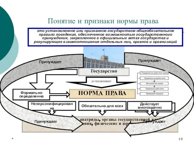 * Государство Действует многократно Понятие и признаки нормы права это установленное