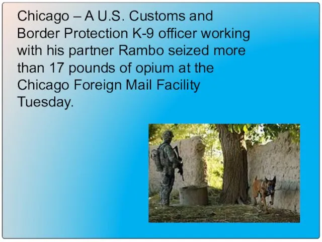Chicago – A U.S. Customs and Border Protection K-9 officer working