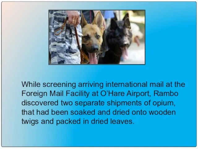 While screening arriving international mail at the Foreign Mail Facility at