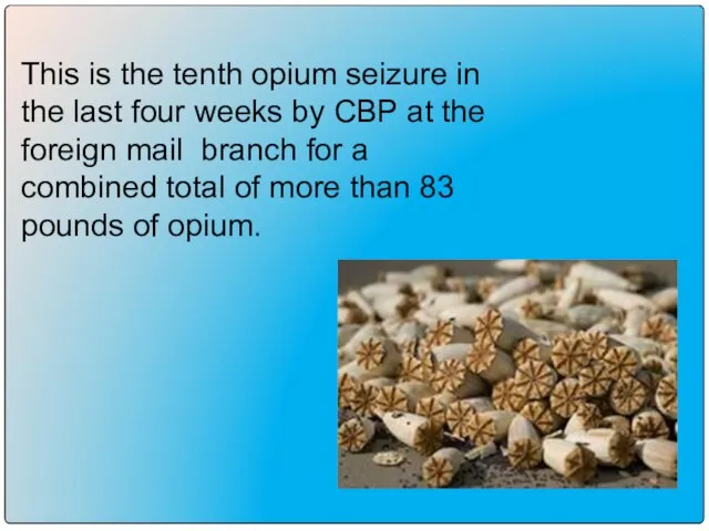 This is the tenth opium seizure in the last four weeks