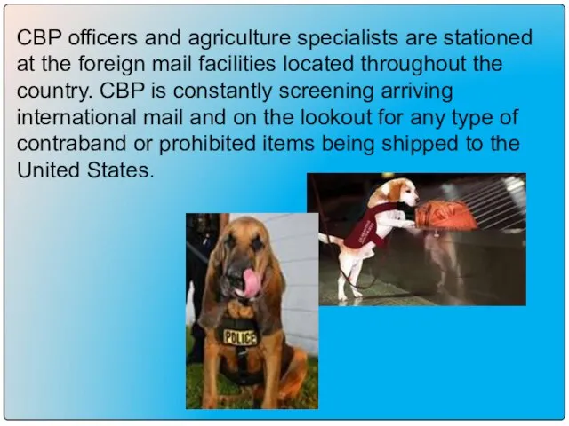 CBP officers and agriculture specialists are stationed at the foreign mail