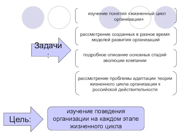 Цель: изучение поведения организации на каждом этапе жизненного цикла Задачи: изучение