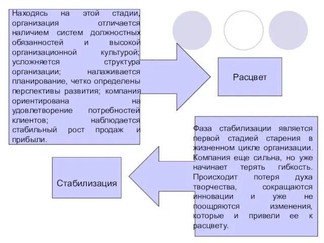 Расцвет Находясь на этой стадии, организация отличается наличием систем должностных обязанностей