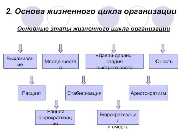 2. Основа жизненного цикла организации Основные этапы жизненного цикла организации Выхаживание