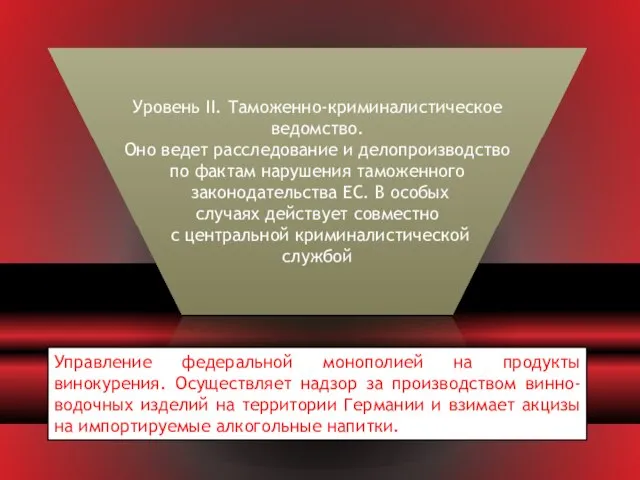 Уровень II. Таможенно-криминалистическое ведомство. Оно ве­дет расследование и делопроизводство по фактам