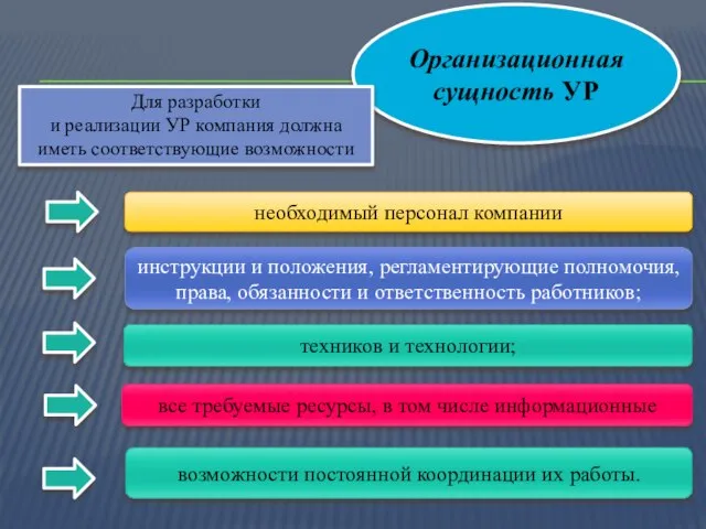 Организационная сущность УР Для разработки и реализации УР компания должна иметь