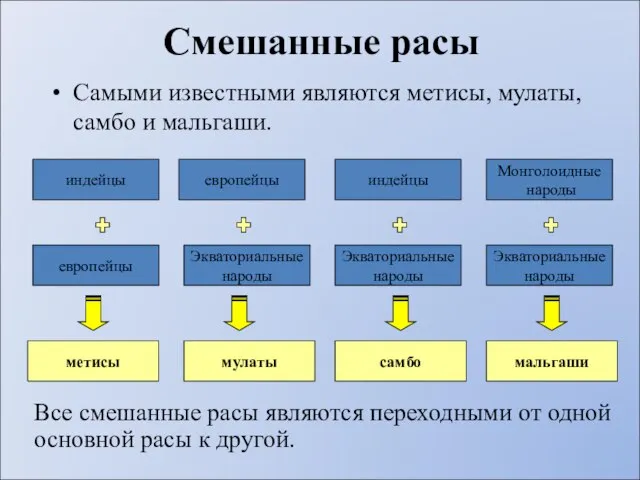 Смешанные расы Самыми известными являются метисы, мулаты, самбо и мальгаши. европейцы