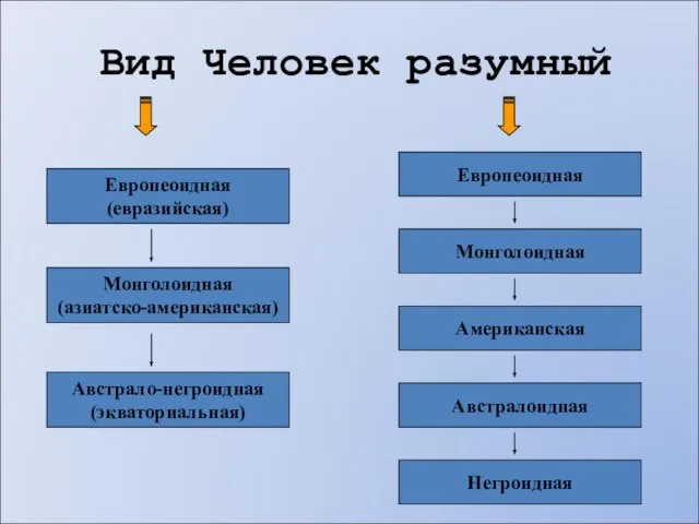 Вид Человек разумный Европеоидная (евразийская) Европеоидная Монголоидная (азиатско-американская) Австрало-негроидная (экваториальная) Монголоидная Американская Австралоидная Негроидная