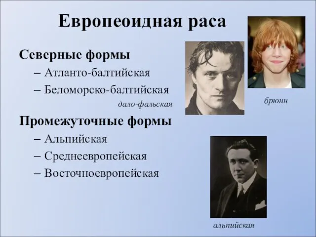 Европеоидная раса Северные формы Атланто-балтийская Беломорско-балтийская дало-фальская Промежуточные формы Альпийская Среднеевропейская Восточноевропейская брюнн альпийская