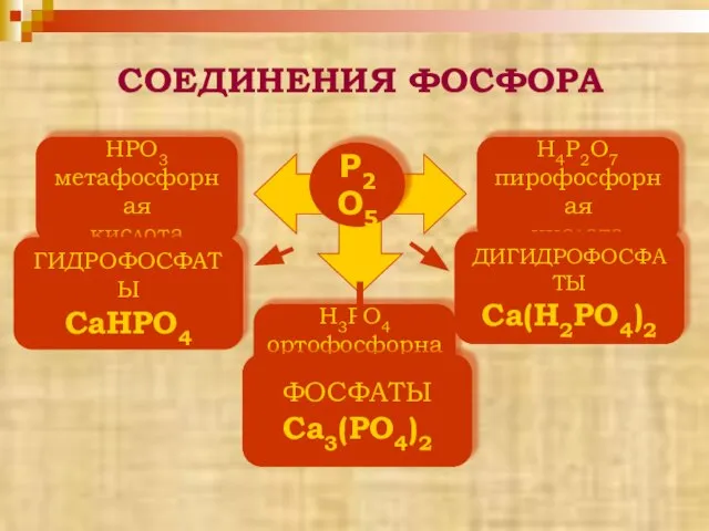 СОЕДИНЕНИЯ ФОСФОРА Р2O5 HPO3 метафосфорная кислота H4P2O7 пирофосфорная кислота H3PO4 ортофосфорная