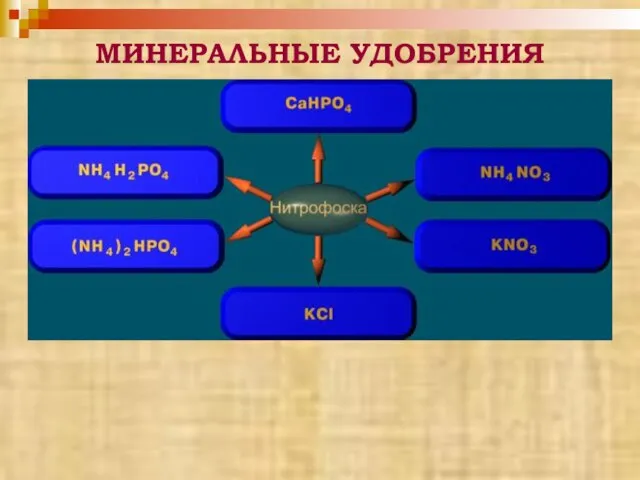 МИНЕРАЛЬНЫЕ УДОБРЕНИЯ