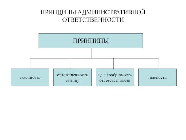 ПРИНЦИПЫ АДМИНИСТРАТИВНОЙ ОТВЕТСТВЕННОСТИ ПРИНЦИПЫ законность гласность целесообразность ответственности ответственность за вину