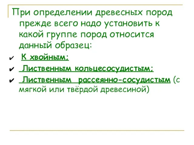 При определении древесных пород прежде всего надо установить к какой группе