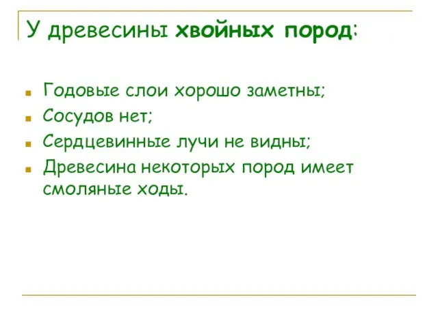 У древесины хвойных пород: Годовые слои хорошо заметны; Сосудов нет; Сердцевинные