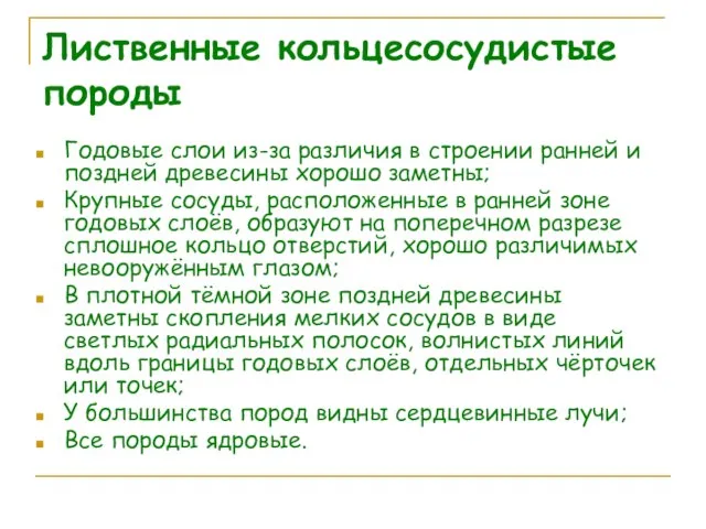 Лиственные кольцесосудистые породы Годовые слои из-за различия в строении ранней и