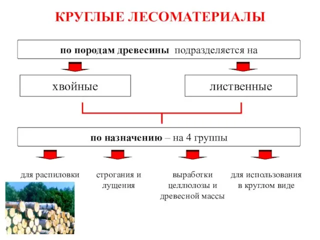 КРУГЛЫЕ ЛЕСОМАТЕРИАЛЫ