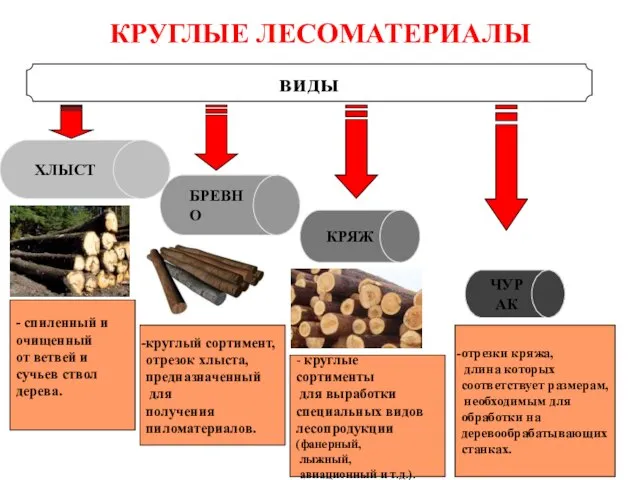 КРУГЛЫЕ ЛЕСОМАТЕРИАЛЫ виды ХЛЫСТ БРЕВНО КРЯЖ ЧУРАК - спиленный и очищенный