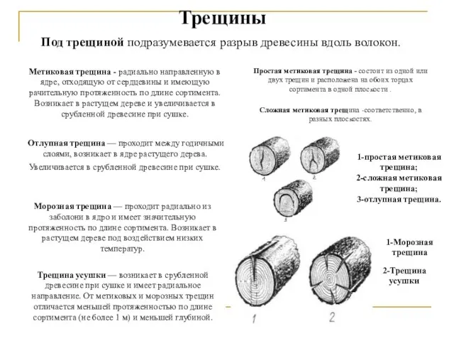 Трещины Под трещиной подразумевается разрыв древесины вдоль волокон. Метиковая трещина -