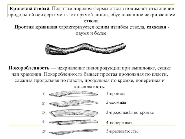 Кривизна ствола. Под этим пороком формы ствола понимают отклонение продольной оси