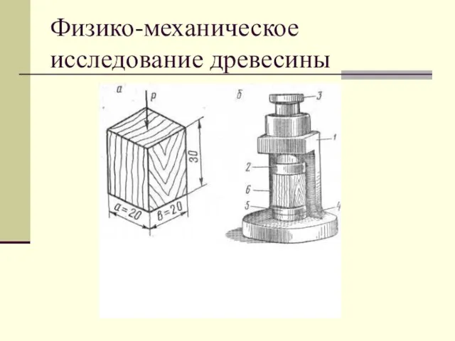 Физико-механическое исследование древесины