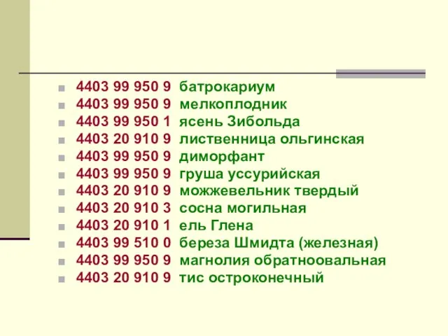 4403 99 950 9 батрокариум 4403 99 950 9 мелкоплодник 4403