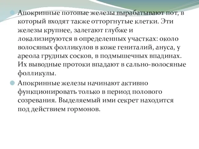 Апокринные потовые железы вырабатывают пот, в который входят также отторгнутые клетки.