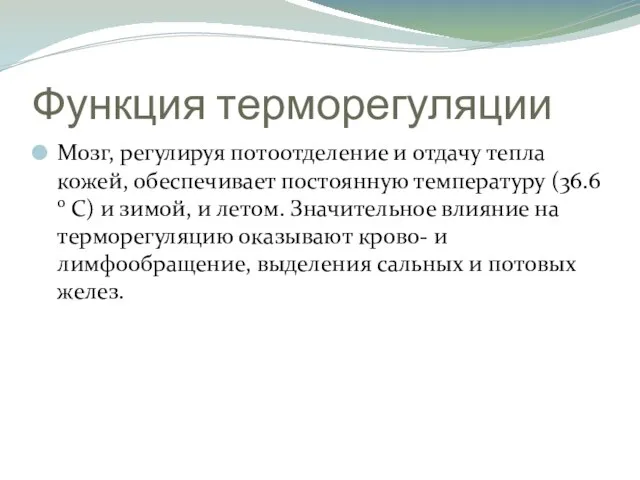 Функция терморегуляции Мозг, регулируя потоотделение и отдачу тепла кожей, обеспечивает постоянную