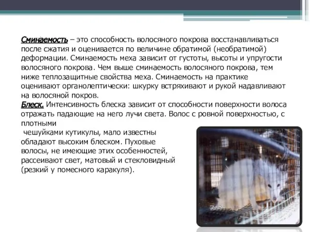 Сминаемость – это способность волосяного покрова восстанавливаться после сжатия и оценивается