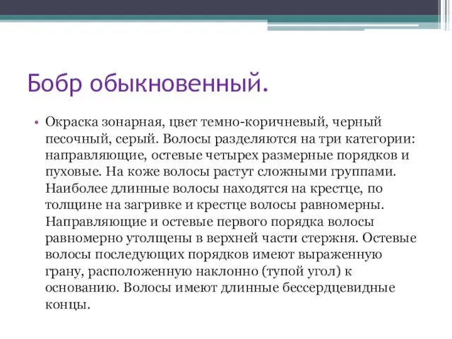 Бобр обыкновенный. Окраска зонарная, цвет темно-коричневый, черный песочный, серый. Волосы разделяются