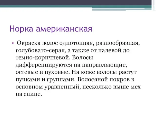 Норка американская Окраска волос однотонная, разнообразная, голубовато-серая, а также от палевой